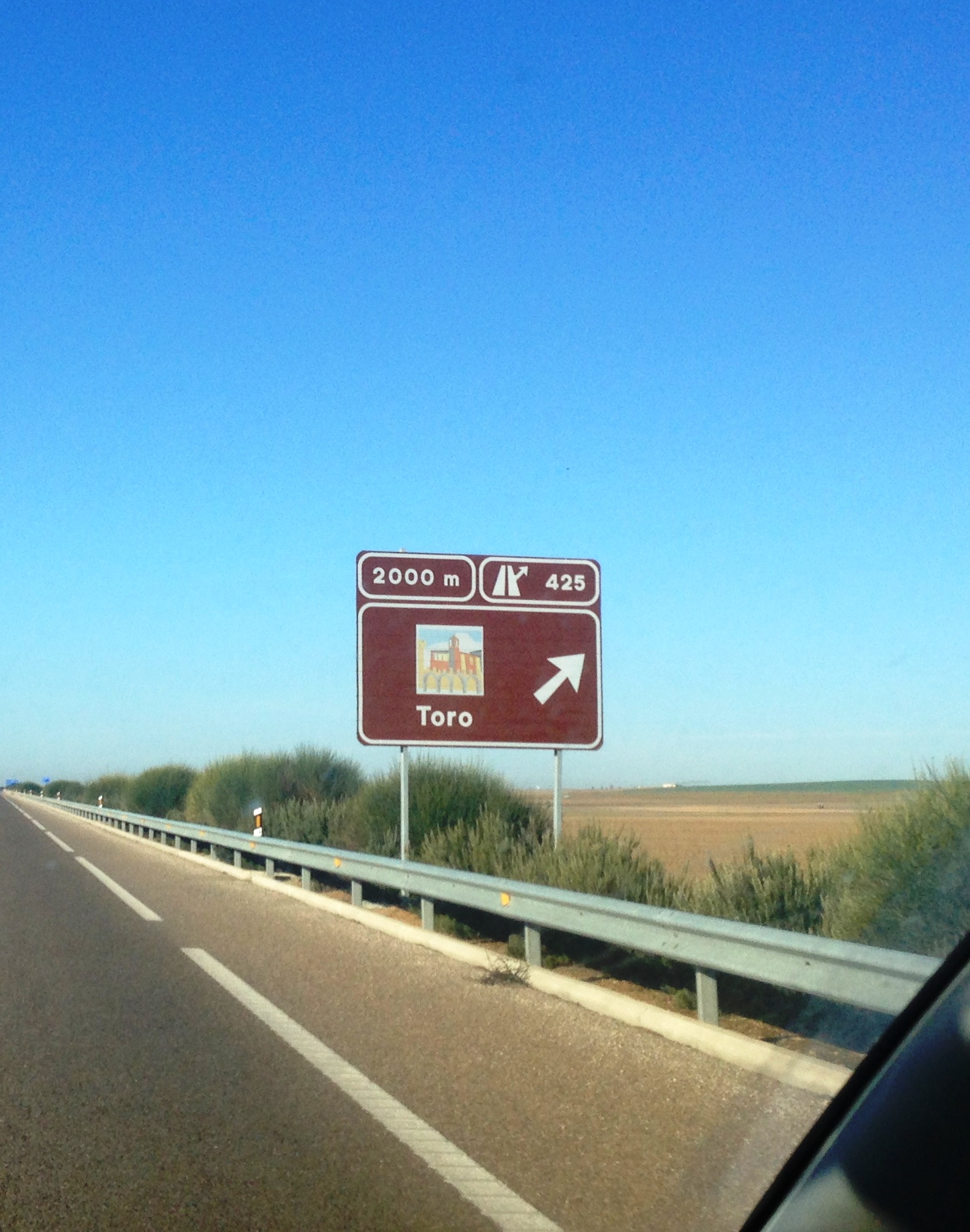 Teso_la_monja_visita_cartel_toro
